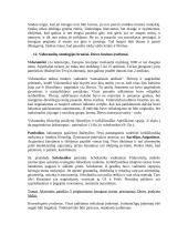 Pradmenys - filosofija 9 puslapis