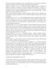 Filosofijos istorija 4 puslapis