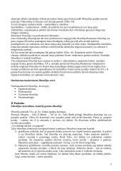 Filosofijos istorijos paskaitų teorija 2 puslapis