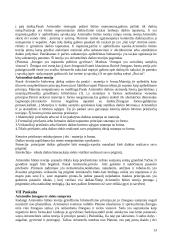 Filosofijos istorijos paskaitų teorija 13 puslapis