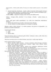 Filosofijos istorijos paskaitų teorija 6 puslapis