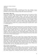 Filosofijos istorijos paskaitų teorija 10 puslapis