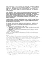 Filosofinė estetika 2 puslapis