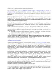 Filosofinė estetika 11 puslapis