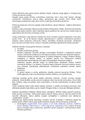 Filosofinė estetika 13 puslapis