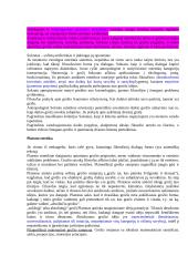 Filosofinė estetika 15 puslapis