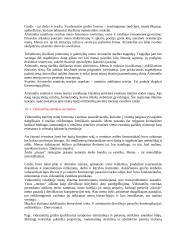 Filosofinė estetika 17 puslapis