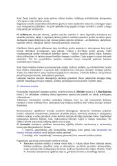 Filosofinė estetika 19 puslapis