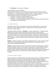 Filosofinė estetika 3 puslapis