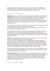 Filosofinė estetika 5 puslapis