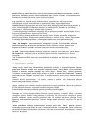 Filosofinė estetika 8 puslapis