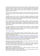 Filosofinė estetika 9 puslapis