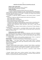 Biudžeto programų įvykdymo analizė 11 puslapis