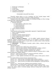 Biudžeto programų įvykdymo analizė 3 puslapis