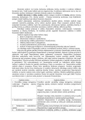 Biudžeto programų įvykdymo analizė 6 puslapis