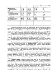 Biudžeto programų įvykdymo analizė 9 puslapis