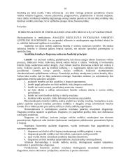 Biudžeto programų įvykdymo analizė 10 puslapis