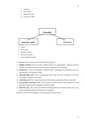 Pagrindinės finansinės apskaitos temos 11 puslapis