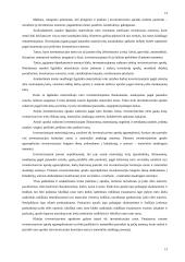 Pagrindinės finansinės apskaitos temos 13 puslapis