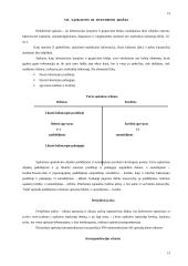 Pagrindinės finansinės apskaitos temos 14 puslapis