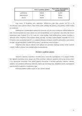 Pagrindinės finansinės apskaitos temos 15 puslapis