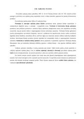 Pagrindinės finansinės apskaitos temos 16 puslapis