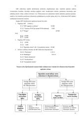 Pagrindinės finansinės apskaitos temos 19 puslapis