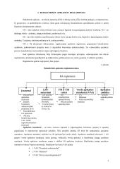 Pagrindinės finansinės apskaitos temos 3 puslapis