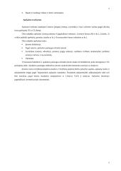 Pagrindinės finansinės apskaitos temos 5 puslapis