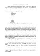 Pagrindinės finansinės apskaitos temos 7 puslapis