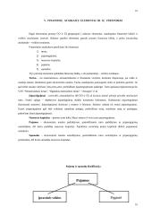 Pagrindinės finansinės apskaitos temos 10 puslapis