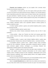 Finansinis turtas 3 puslapis