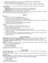 Finansų pagrindai, finansinės būklės analizė 3 puslapis