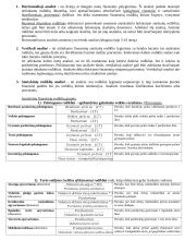 Finansų pagrindai, finansinės būklės analizė 4 puslapis