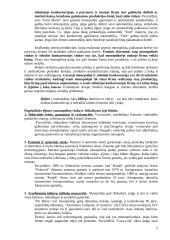 Firmos pusiausvyra monopolinėje rinkoje 2 puslapis