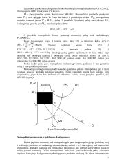 Firmos pusiausvyra monopolinėje rinkoje 11 puslapis