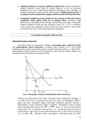 Firmos pusiausvyra monopolinėje rinkoje 13 puslapis