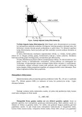 Firmos pusiausvyra monopolinėje rinkoje 17 puslapis