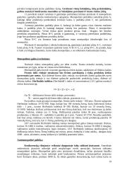 Firmos pusiausvyra monopolinėje rinkoje 19 puslapis