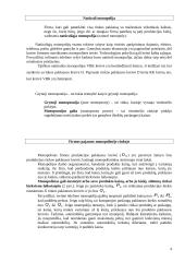 Firmos pusiausvyra monopolinėje rinkoje 4 puslapis