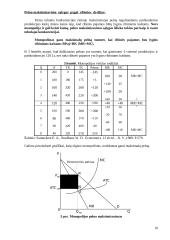Firmos pusiausvyra monopolinėje rinkoje 10 puslapis