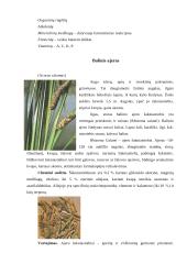 Fitoterapija. Kas tai? 2 puslapis