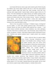 Fitoterapija. Kas tai? 14 puslapis