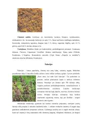 Fitoterapija. Kas tai? 16 puslapis