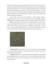 Fitoterapija. Kas tai? 17 puslapis