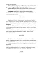 Fitoterapija. Kas tai? 19 puslapis