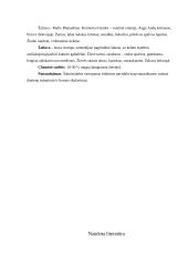 Fitoterapija. Kas tai? 20 puslapis