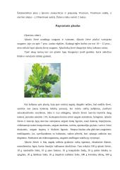 Fitoterapija. Kas tai? 3 puslapis