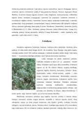 Fitoterapija. Kas tai? 7 puslapis