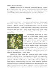 Fitoterapija. Kas tai? 9 puslapis